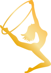 Logo Zero Gravity Project